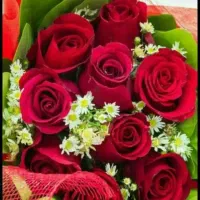 راهنمایی کنید