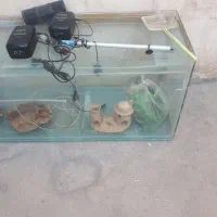 آکواریون|لوازم جانبی حیوانات|شهرضا, |دیوار