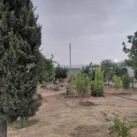باغ ۱۰۰۰ متری زیر قیمت مجهز به آب شرب و برق|فروش زمین و ملک کلنگی|شیراز, فضل‌آباد|دیوار