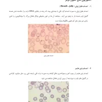 تدریس خصوصی هماتولوژی عملی با میکروسکوپ در منزل|خدمات آموزشی|شیراز, تاچارا|دیوار