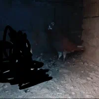 کفتر|حیوانات|کوهدشت, |دیوار