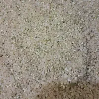خرده برنج