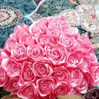 گل ربانی نو