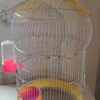 قفس پرنده|لوازم جانبی حیوانات|اردبیل, |دیوار