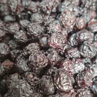 آلبالو خشک لوکس