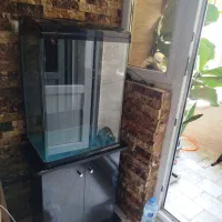 اکواریوم شیشه خم شرکتی