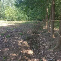 زمین باغی|فروش زمین و ملک کلنگی|شلمان, |دیوار