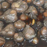 سیر ترشی 5ساله|خوردنی و آشامیدنی|قم, هفت تیر|دیوار