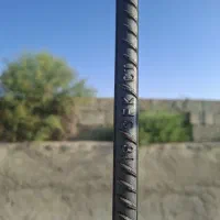 قفس مرغ