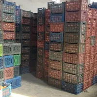 پرتقال نایلون پیچ 140تن|عمدهفروشی|قائمشهر, |دیوار