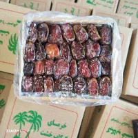 انواع خرمای خشت و اهرم|عمده‌فروشی|چرام, |دیوار