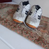 کفش والیبال اف ۴۴|ورزشهای توپی|قم, نیروگاه|دیوار