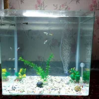 اکواریوم شرکتی با تمامی لوازم