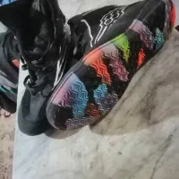 کفش ورزشی رودیس|کیف، کفش، کمربند|کردکوی, |دیوار