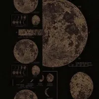 لول ۳۰۳