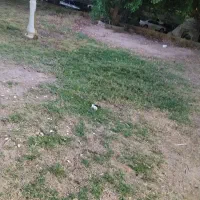 فروش امتیاز زمین شهرداری فاز2