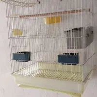 فروش قفس