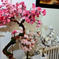 بونسای شکوفه