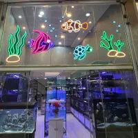 آکواریوم ماهینا
