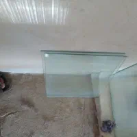 اگریوم|ماهی|بازرگان, |دیوار