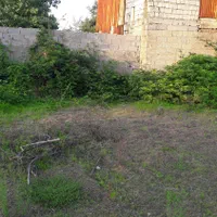 تهاتر/ معاوضه 600متر زمین بازمین کشاورزی ودامداری|فروش زمین و ملک کلنگی|شفت, |دیوار