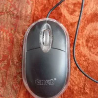 موس