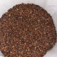 قهوه ویتنام سبز و رست شکلاتی