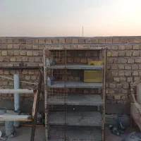 جفتگاه کبوتر