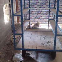 چهار چرخ درج یک در حد نو