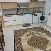 فروش ۲۷۰ متر پنت هاووس در هشتصد دستگاه|فروش آپارتمان|دورود, |دیوار