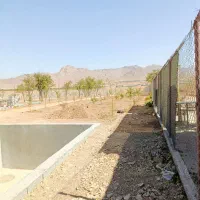 دو تخته باغ