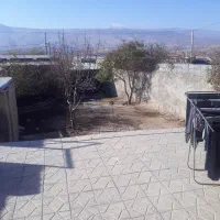 چند عدد بوقلمون بالغ ماده