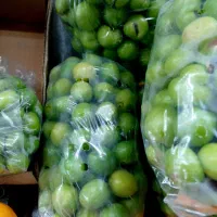 چغاله،گوجه باغی