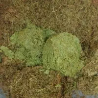 تفاله غوره رایگان