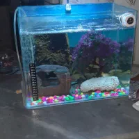 اکواریوم شرکتی لبه دار