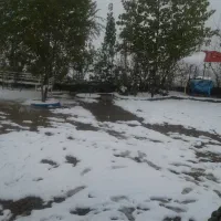 استخدام خدماتی ونظافت