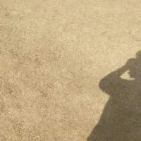 کاه گندم|لوازم جانبی حیوانات|میناب, |دیوار