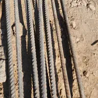 ۱۲ شاخه آلماتور ۱۸