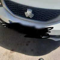 ساینا اس دوگانه