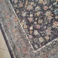 فرش نو|فرش|شیراز, زرهی|دیوار