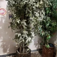 درخت|گل مصنوعی|بهبهان, |دیوار
