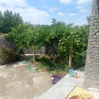 مسکونی|فروش خانه و ویلا|نوشین شهر, |دیوار