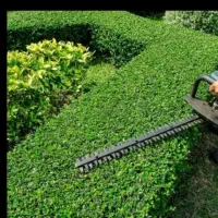 علف زنی بادستگاه چمن زن  شمشادزن. هرس درختان