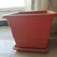 گلدان پلاستیکی وسرامیکی|گل و گیاه طبیعی|شیروان (خراسان), |دیوار