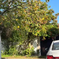 ۳۲۰ متر سند تک برگ ساحلی ایزدشهر مشارکت|مشارکت در ساخت املاک|ایزدشهر, |دیوار