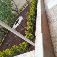 خدمات باغبانی وسم پاشی گیاهان آپارتمانی و باغچه