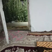 اجاره خانه ویلایی ۴۵ متری ۱ خوابه در شهران جنوبی|اجارهٔ خانه و ویلا|تهران, کن|دیوار