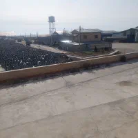 مهندس دامپروری