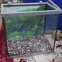 آکواریوم