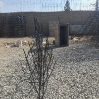 استخدام جوشکار خال زن